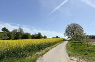 Immobilie kaufen in 78465 Konstanz, sonniges Baugrundstück in idyllischer Feldrandlage
