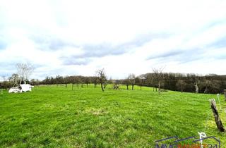 Immobilie kaufen in 53819 Neunkirchen-Seelscheid, Grundstück zur Bebauung