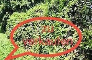 Lager kaufen in 31061 Alfeld, Interessantes Grundstück mit großem Entwicklungspotential