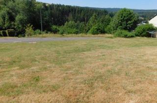 Immobilie kaufen in 54422 Neuhütten, wohnen im Naturpark Hunsrück-Hochwald - erschlossenes 806qm großes Baugrundstück in unverbaubarer Lage