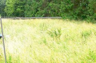 Garagen kaufen in 54587 Lissendorf, Lissendorf Baugrundstück Ecklage Erschlossen gerader Schnitt