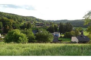 Immobilie kaufen in 66687 Wadern, Wadern-OT - erschlossenes Baugrundstück ca. 1429 m² mit Fernblick