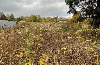 Immobilie kaufen in 16792 Zehdenick, Entwicklungsgrundstück mit B-Plan im Berliner Speckgürtel