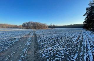Immobilie kaufen in 15345 Altlandsberg, Investition in die Zukunft: Entwicklungsgrundstück vor den Toren der Hauptstadt