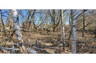 Immobilie kaufen in 14612 Falkensee, Ruhiges Baugrundstück für Wohnträume