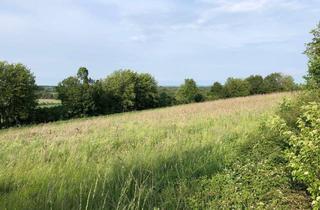 Immobilie kaufen in 93176 Beratzhausen, Wohnen "AM REHBERG" mit Blick auf den Arber