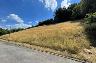 Immobilie kaufen in 69412 Eberbach, Idyllische Bauplätze im Herzen des Odenwaldes