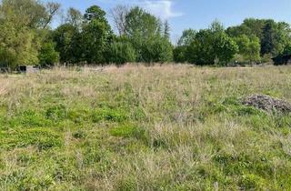 Lager kaufen in 16845 Brunn, Baugrundstück in Wunschgröße - Verwirklichen Sie Ihren Traum vom Eigenheim in ländlicher Idylle