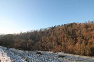 Immobilie kaufen in 94130 Obernzell, Obernzell: 35.684 m² landwirtschaftliche Nutzfläche – Wiese – ideal auch als Ausgleichsfläche