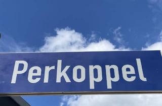 Immobilie kaufen in 29646 Bispingen, Gleich handeln! Es ist nur noch das Grundstück 1 frei im Baugebiet "Seestraße" Bispingen-Behringen