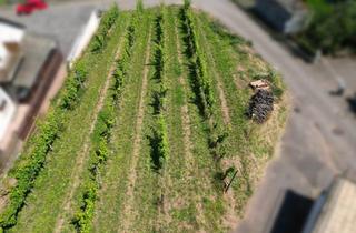Immobilie kaufen in 76857 Albersweiler, Baugrundstück in direkter Weinberglage am Rande des Naturschutzgebietes zu verkaufen!