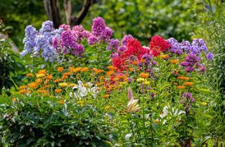 Immobilie kaufen in 58730 Fröndenberg, Fröndenberg/Ruhr: Kein Bauland - Reine Nutzfläche für Sie oder Ihre Tiere!