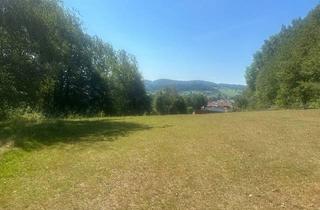 Immobilie kaufen in 94078 Freyung, Baugrundstück mit Wiesenflächen in Freyung