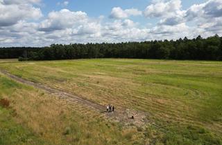 Immobilie kaufen in 29633 Munster, Baugebiet "Berlinchener Straße" in Munster