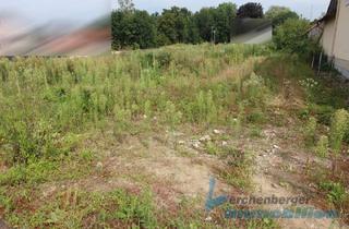 Immobilie kaufen in 94527 Aholming, *** 1.200 m²: Voll erschlossenes Grundstück im Gemeindebereich Aholming ***