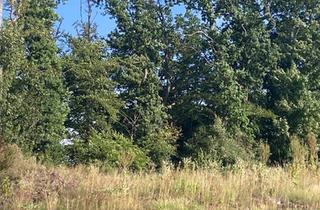 Immobilie kaufen in 59872 Meschede, Exklusive Wohnlage!