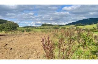 Garagen kaufen in 78669 Wellendingen, Großzügiges Baugrundstück in hervorragender Lage; Nähe Rottweil