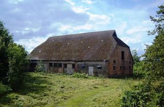 Lager kaufen in Am Felde, 17495 Züssow, Grundstück in Züssow OT Radlow zu im Landkreis Greifswald-Vorpommern zu verkaufen