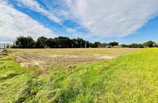Immobilie kaufen in 49681 Garrel, Einmalig: ca. 2,8 ha großes Gewerbegrundstück im Zentrum von Garrel!
