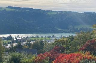 Immobilie kaufen in 94130 Obernzell, 180°-Blick übers Donautal Obernzell: 1.252 m² Baugrund - Hanglage - voll Erschlossen