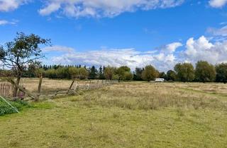 Immobilie kaufen in 17321 Löcknitz, HORN IMMOBILIEN mit Video 5,6 ha bei Löcknitz, als Wildtierfarm, zur Pferdehaltung oder für Alpakas