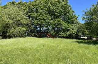 Immobilie kaufen in 25767 Bunsoh, Erneut Reduziert!Hier Grunderwerbsteuer sparen!! Erst Grundstück kaufen und später Haus bauen!!