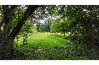 Immobilie kaufen in 51570 Windeck, Großzügiges Baugrundstück in ruhiger Lage von Windeck!