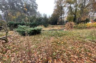 Immobilie kaufen in 16552 Schildow, Baugrundstück in gefragter Lage im schönen Schildow