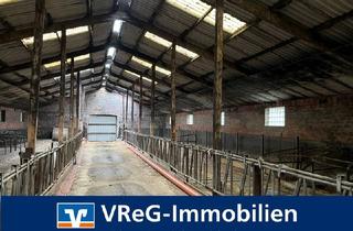 Lager kaufen in 25551 Peissen, Vielseitige Nutzung : Landwirtschaftliches Stallgebäude mit 1,9 ha Grünland in Peissen zu verkaufen