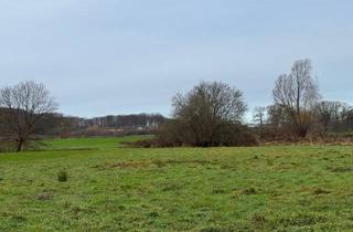 Immobilie kaufen in 49504 Wersen, Wiese 5 in Lotte / Wersen