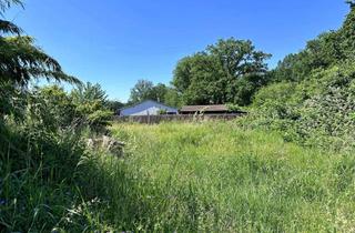 Immobilie kaufen in 31275 Lehrte, Lehrte / Arpke: 1.157 m² großes Wohnbaugrundstück für ein EFH oder DH