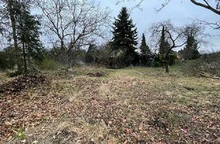 Garagen kaufen in 15732 Schulzendorf, Freies Baugrundstück für Ihren Traum vom Eigenheim