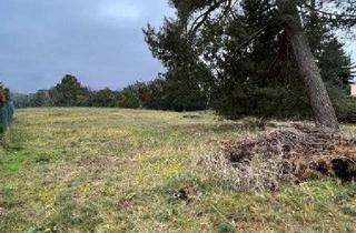 Garagen kaufen in 16556 Hohen Neuendorf, Sofort bebaubares großzügiges Baugrundstück im schönen Borgsdorf