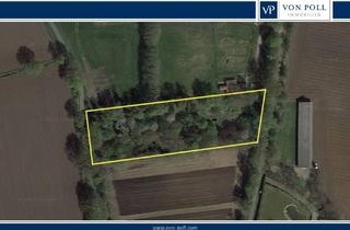 Immobilie kaufen in 48531 Nordhorn, Naturparadies nahe der Stadt: ca. 7000m² für Hobbygärtner