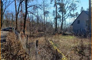 Lager kaufen in 14552 Wildenbruch, Ihr Baugrundstück mit Klasse Anbindung nach Potsdam und Berlin