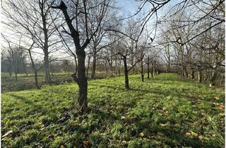 Immobilie kaufen in 21710 Engelschoff, Bauland/Landwirtschaftliche Fläche in Engelschoff-Neuland