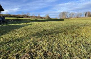 Immobilie kaufen in 84427 Sankt Wolfgang, Hallo Familien!Sonniges Baugrundstück für Doppelhaushälfte