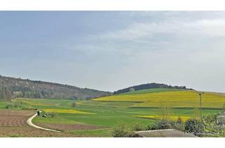 Immobilie kaufen in 74867 Neunkirchen, Neunkirchen: Bauplatz in naturnaher Lage!