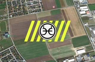 Immobilie kaufen in 49451 Holdorf, GEGEN GEBOT | Attraktives Potenzial-Grundstück in Zentrumsnähe | 20.503 m² | Holdorf