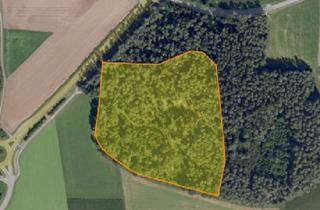 Immobilie kaufen in 91602 Dürrwangen, Waldfläche Nähe Dürrwangen, Gemarkung Haslach