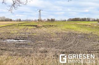 Immobilie kaufen in 49733 Haren, Aufgepasst: Landwirtschaftliche Fläche direkt am Kanal zu kaufen in Haren - Rütenbrock! *Provisionsfrei für den Käufer!