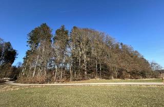Immobilie kaufen in 83123 Amerang, Waldgrundstück Nahe Froitshub zu verkaufen