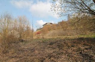 Immobilie kaufen in 94036 Passau, Bauträger aufgepasst! Passau-Nähe Zentrum: 2.725 m² Grund, Hanglage, 535.000,- €