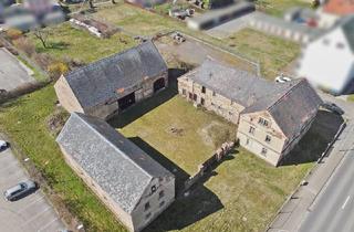 Immobilie kaufen in 04687 Trebsen, Verkauf eines besonderen Grundstücks mit denkmalgeschütztem Altbestand in Trebsen