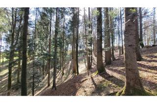 Immobilie kaufen in 83737 Irschenberg, Waldgrundstücke in Irschenberg, Ortsteil Jedling