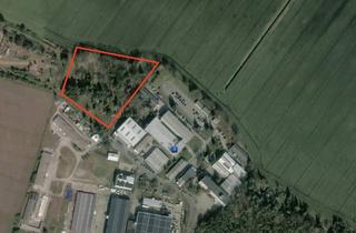 Lager mieten in Märkische Straße 72, 15806 Zossen, Großes Gewerbegrundstück in Zossen – ca. 30.000 m² zur Miete