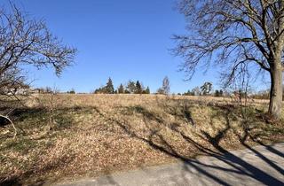 Immobilie kaufen in 17326 Brüssow, HORN IMMOBILIEN++ Baugrundstücke in Brüssow