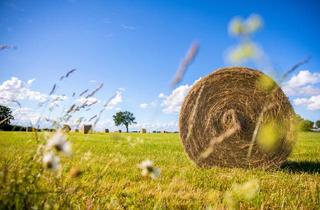 Immobilie kaufen in 94315 Straubing, Landwirtschaftliche Fläche - Rain/Straubing!