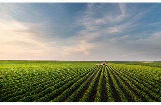 Immobilie kaufen in 94315 Straubing, Landwirtschaftliche Fläche - Rain/Straubing!