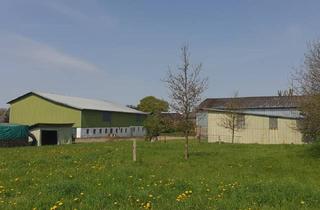 Haus kaufen in 25785 Sarzbüttel, Viel Platz zum wohnen und verwirklichen